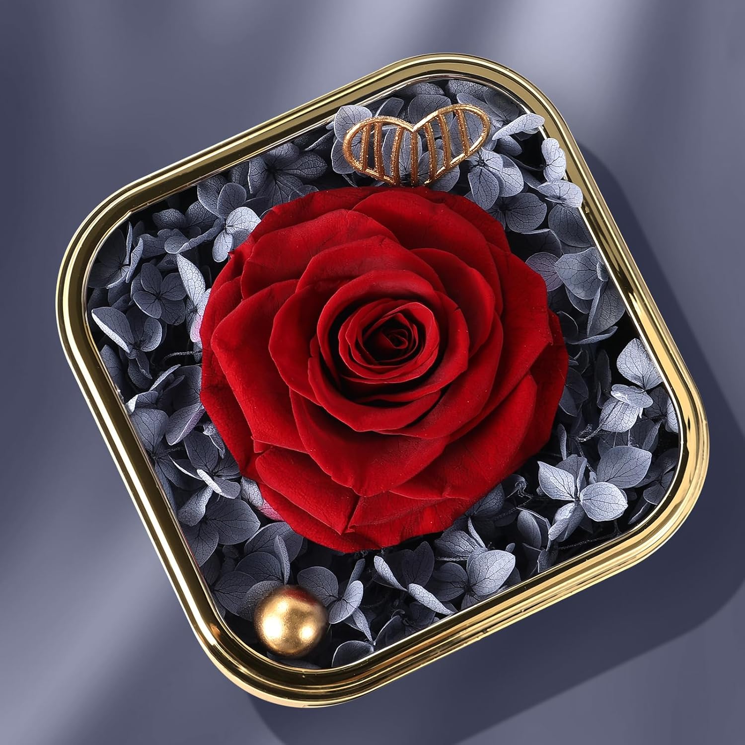 Mikasol Preserved Rose & Heart-Shaped Necklace with Jewelry Box - Preserved Rose, Ideal Romantic Gift for Women, Anniversary, Valentines, Black, 4.9"x4.5"x4.1"