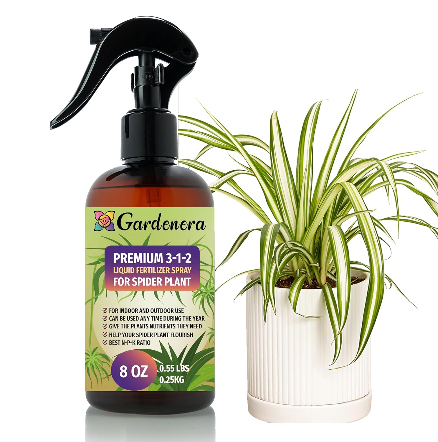 Professional Spider Plant Spray Fertilizer Mist for Home Gardening | 3-1-2 Gentle Blend Mist for Healthy Leaves & Growth | Essential Nutrients for Spider Plants - 8oz