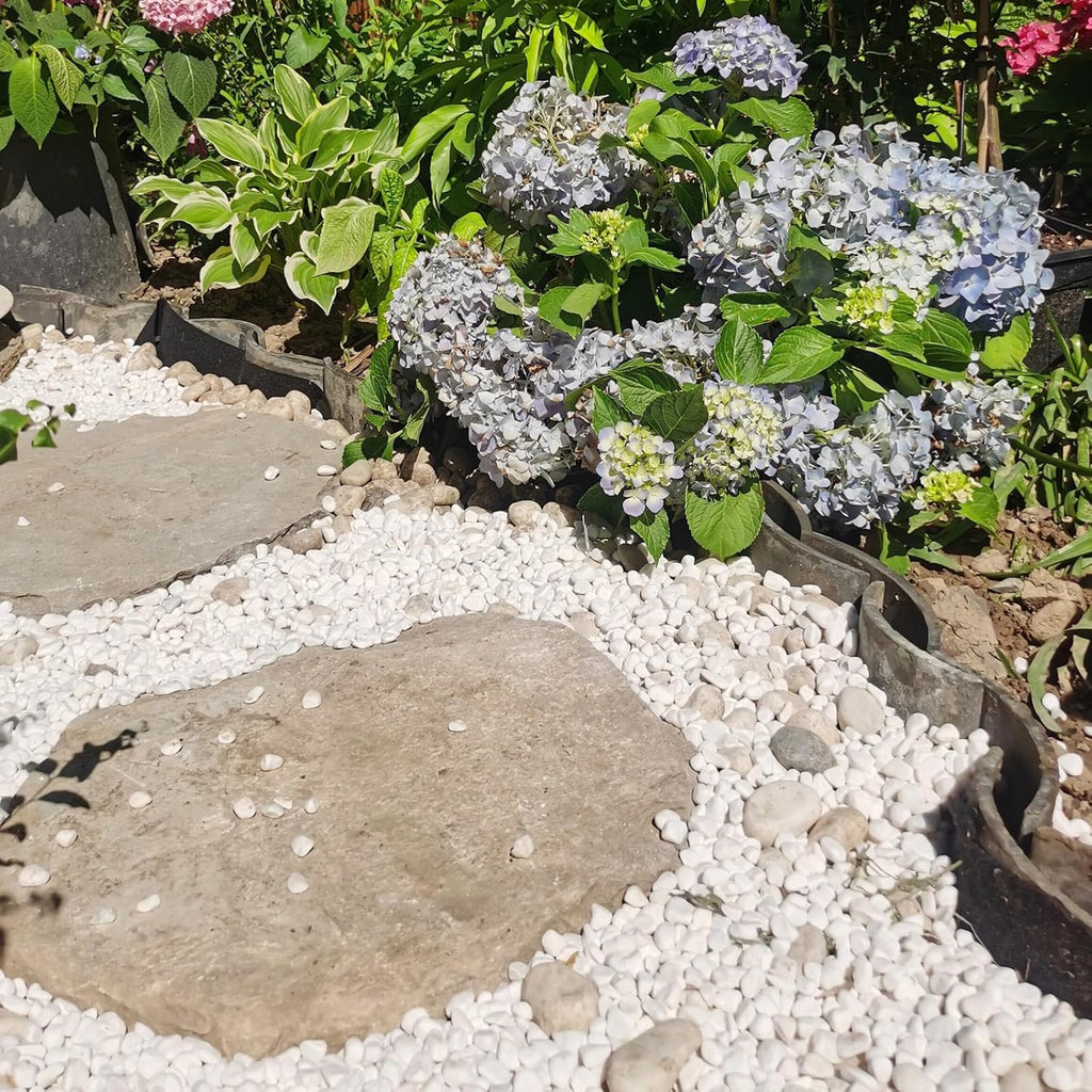 20 lbs White River Rocks for Landscaping, 0.5-1 Inch Pebbles for Indoor Plants, Decorative Stones for Succulent, Cactus, Vases, Aquariums, Crafting and Garden