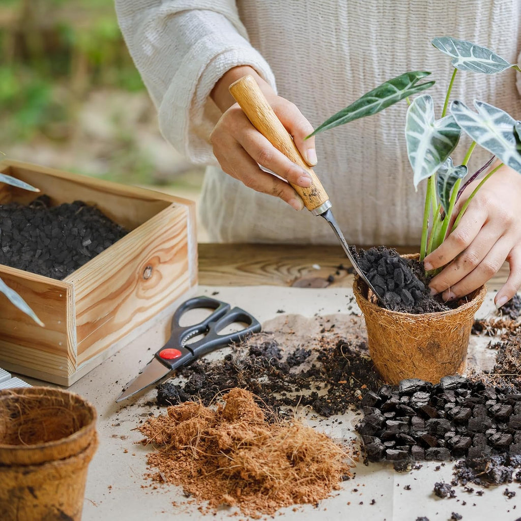 Horticultural Charcoal 1qt for Plants, Actived Charcoal Terrarium Supplies, Suitable for Indoor Plants, Succulent, Orchid, Cactus, Bonsai