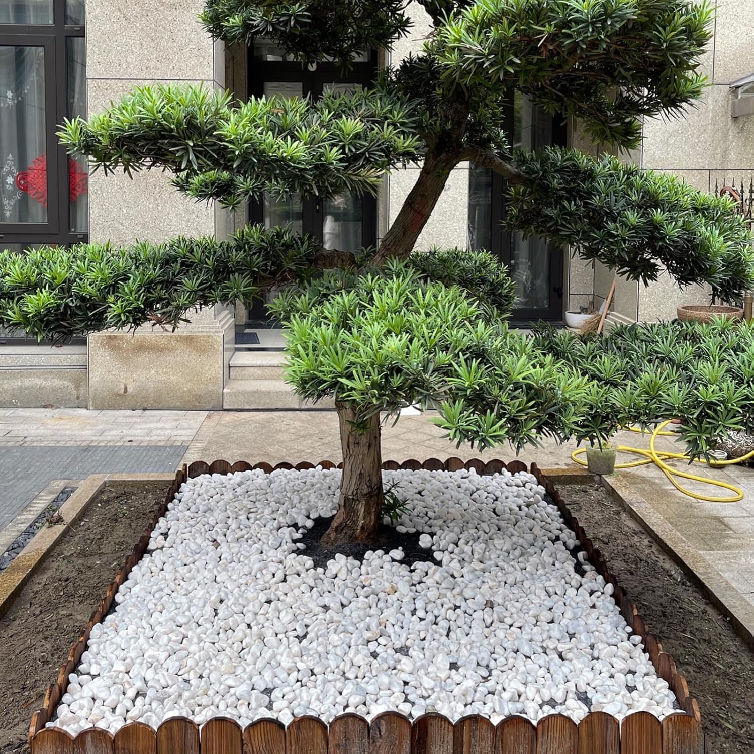 20 lbs White Rocks for Landscaping, 2-3 Inch Large River Rocks. Decorative Pebbles for Plants Indoor, Vases, Aquariums Gravel, Crafting and Garden