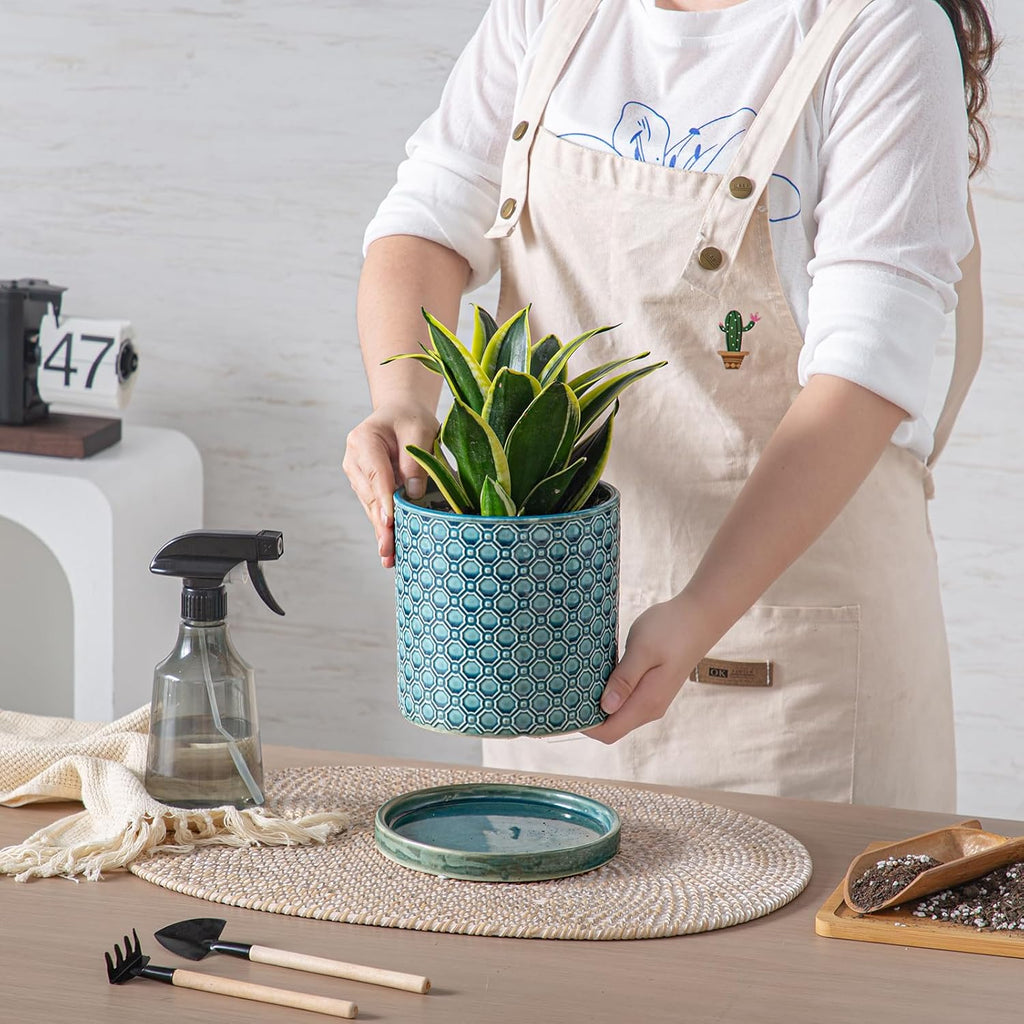 6 Inch Plant Pot: Ceramic Planter with Drainage Hole & Saucer Indoor Outdoor Plants - Cylinder Round Flower Pot for Home Office - Modern Decorative - Small Blue