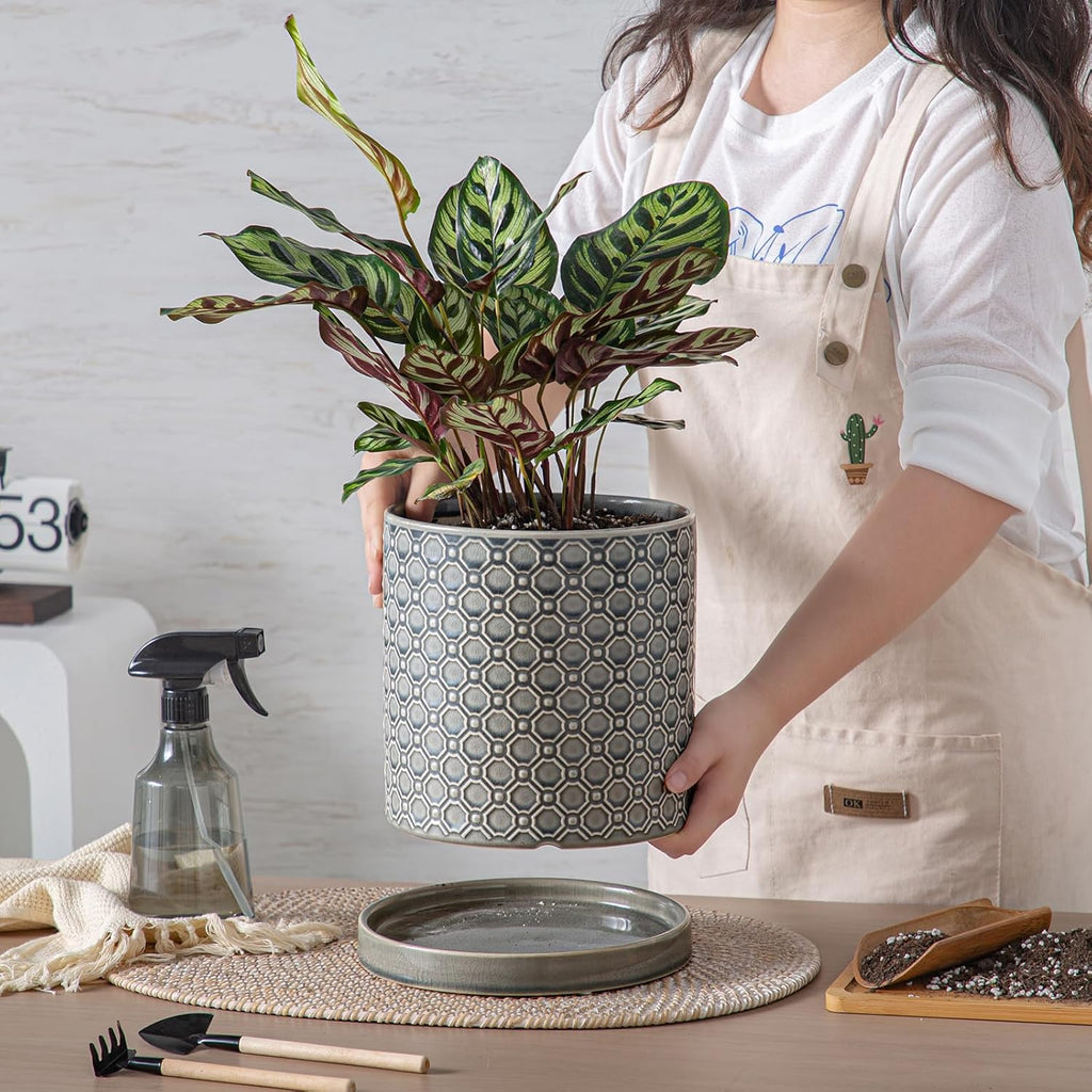 8 Inch Plant Pot: Ceramic Planter with Drainage Hole & Saucer Indoor Outdoor Plants - Cylinder Round Flower Pot for Home Office - Modern Decorative - Medium Grey