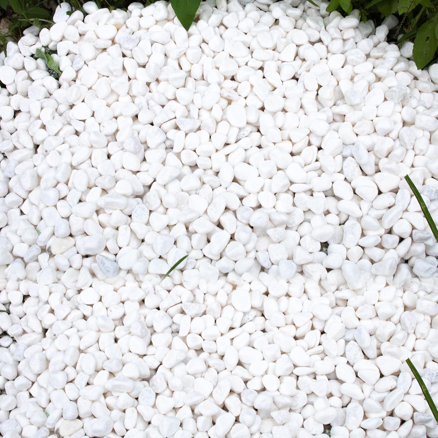 45lb White Rocks for Plants,Potting,Succulents Aquarium Fish Tank Garden Vases Decorative Pebbles Gravel Rocks Stones