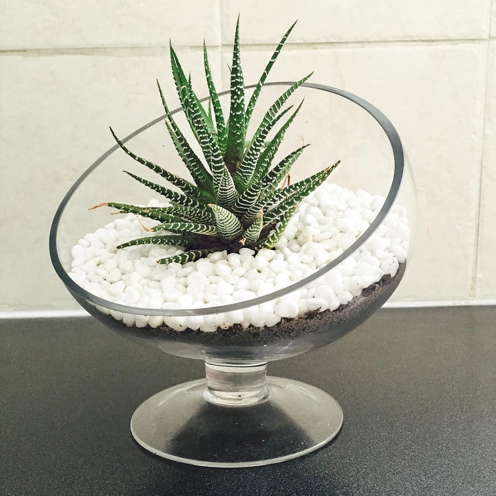 15lbs White Rocks, 3/8 Inch Small White Pebbles for Plants, Vase, Garden, Decorative Pea Gravel for Landscaping, Polished