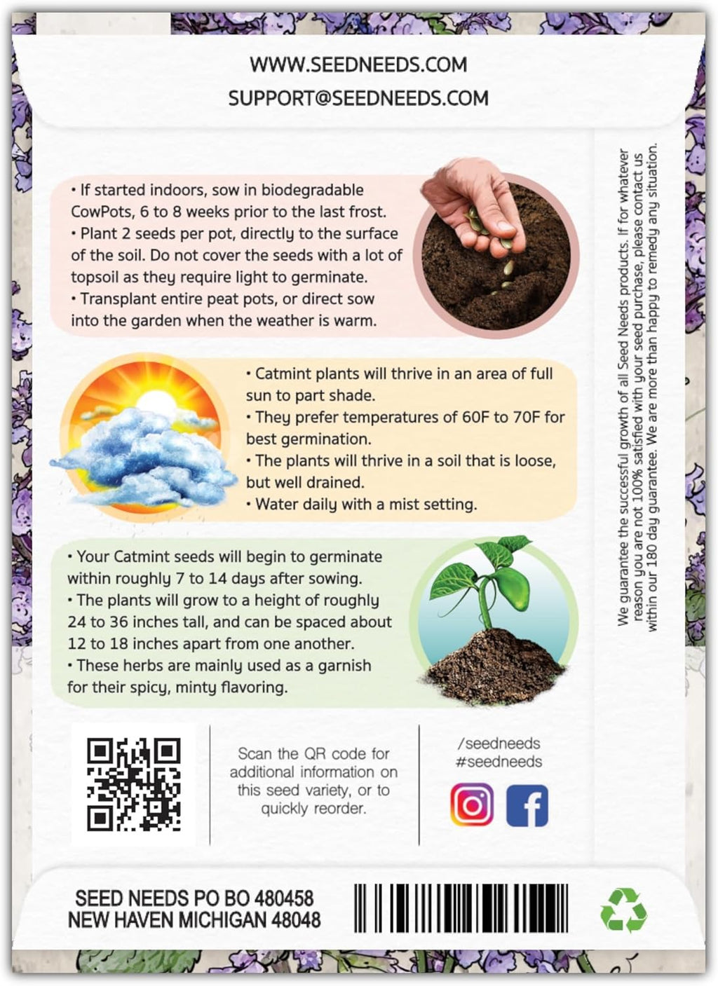 Seed Needs, Catmint Seeds for Cats - 600 Heirloom Seeds for Planting Nepeta mussinii - Perennial Flowering Medicinal Herb Non-GMO & Untreated (5 Packs)