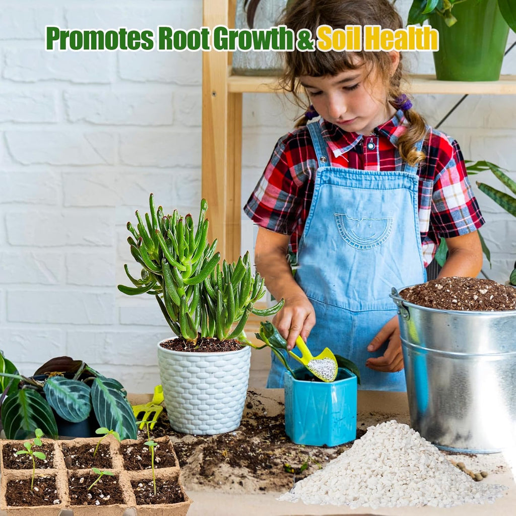 Horticultural Perlite for Plants 1qt, All Natural Horticultural Soil Additive Conditioner Mix, Improve Ventilation and Drainage, Enhance Soil Health and Root Growth
