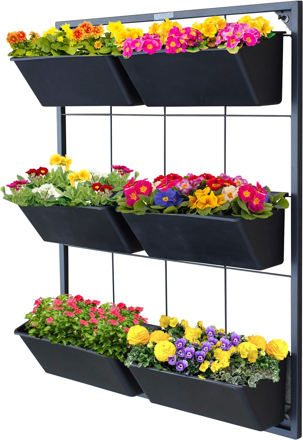 Vertical Garden Wall Planter. Ideal Indoor or Outdoor Container Gardening. Includes 6 Removable Pots and Wall Mounted Metal Frame. Self Draining Garden for Vegetables, Flowers or Herbs.