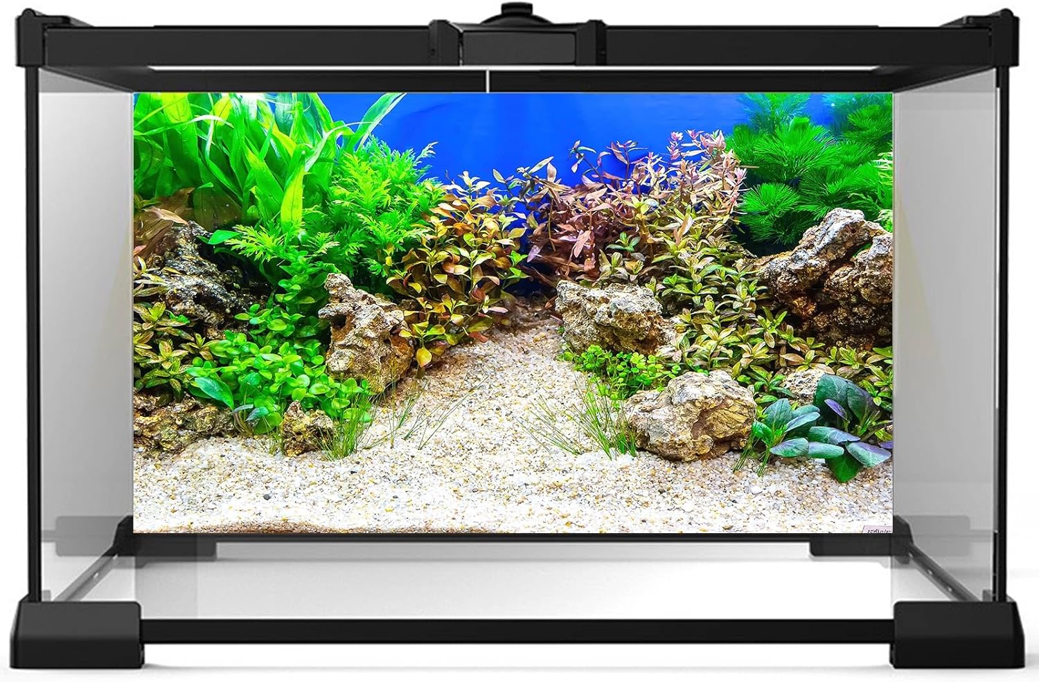 Aquarium Background Underwater Grass Leaves with Pebble Aquarium Backdrop Vivid and Fresh Green Aquatic Plant Stone River Bed and Lake Fish Tank Background Decor Vinyl 24x16in