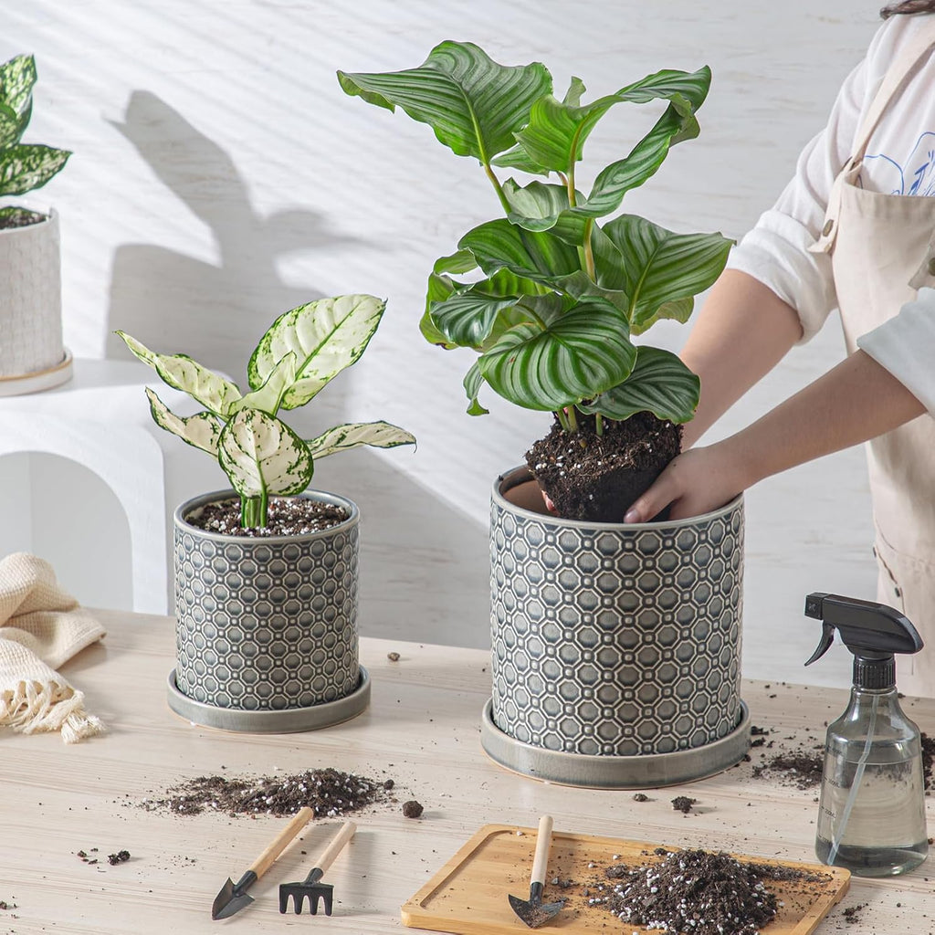 6 Inch Plant Pot: Ceramic Planter with Drainage Hole & Saucer Indoor Outdoor Plants - Cylinder Round Flower Pot for Home Office - Modern Decorative - Small Grey