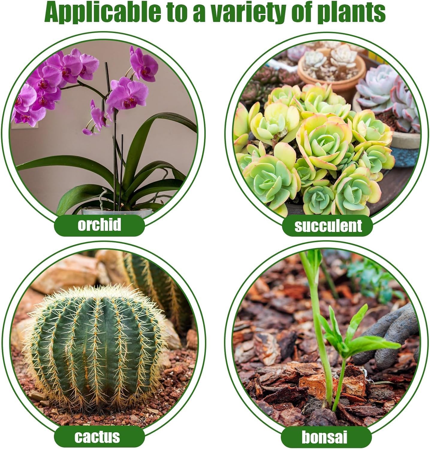 Orchid Bark 2qt, Natural Pine Bark Mulch for Plants, Great for Orchids, Succulents, Cactus, Bonsai, Ideal for Houseplant Mulch