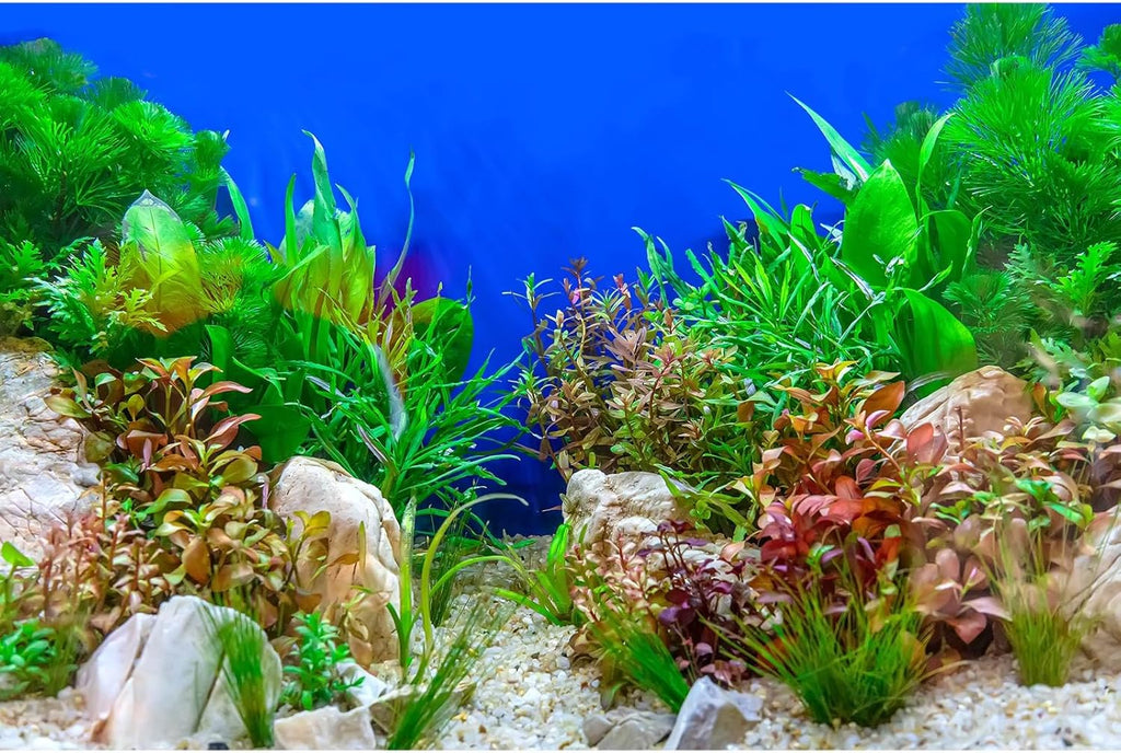 Aquarium Background Green Aquatic Plant Stone River Bed and Lake Fish Tank Background Decor Underwater Grass Leaves with Pebble Aquarium Backdrop Perfect Fish Tank Decors Vinyl 48x20in