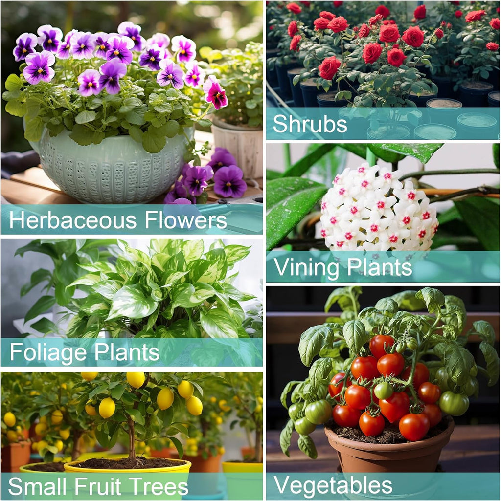 Potting Soil Mix 10qt for Indoor Plants, Organic Houseplant Soil Well Draining Dirt Ready to Use, Fit for House Plant Like Pothos, Philodendron, Monstera, African Violet