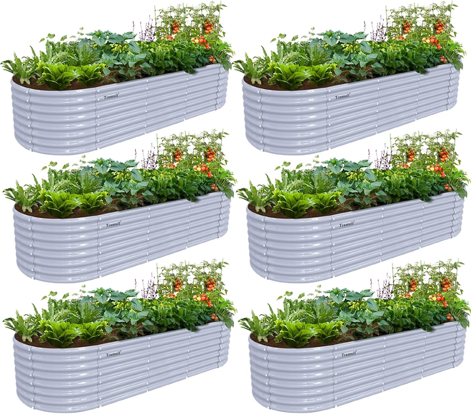 6 Pack 8x3x2FT Galvanized Raised Garden Bed Kit Oval Metal Ground Planter Box Outdoor Bottomless Planter Raised Beds for Vegetables Flowers Herbs Fruits, Gray