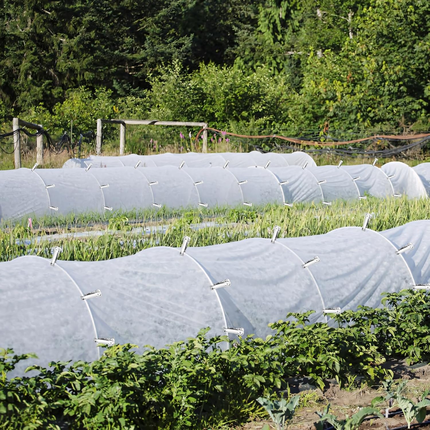 50 PCS Garden Clips, Greenhouse Clamps, Stainless Steel Greenhouse Clips for Netting, Heavy Duty Row Cover Clips with a Strong Grip for Shade Cloth or Plant Cover on Gardening Hoops