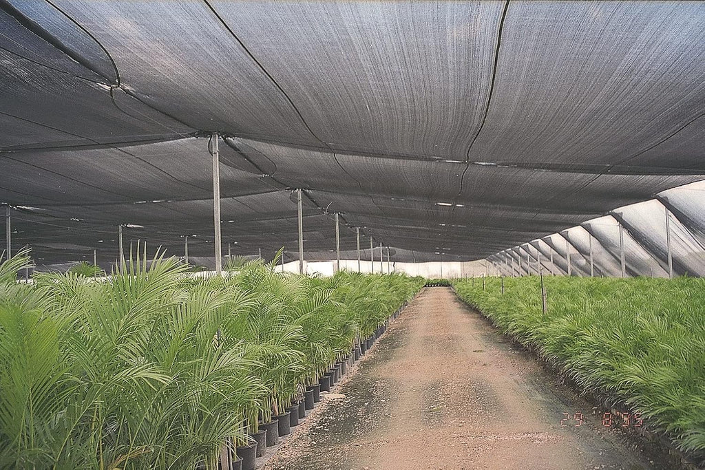 Agfabric 10 X 10ft 30% Sun Shade Sun Shade Fabric Sunblock Shade Cloth Cover with Clips for Plants, Black