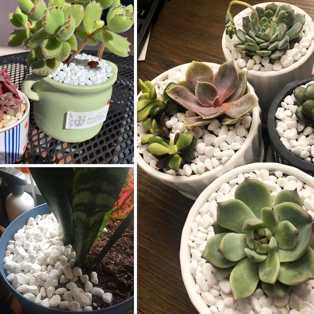 CJGQ White Pebbles for Plants Garden Vases 7 lb White Rocks Gravel Decorative Stone 1/2"