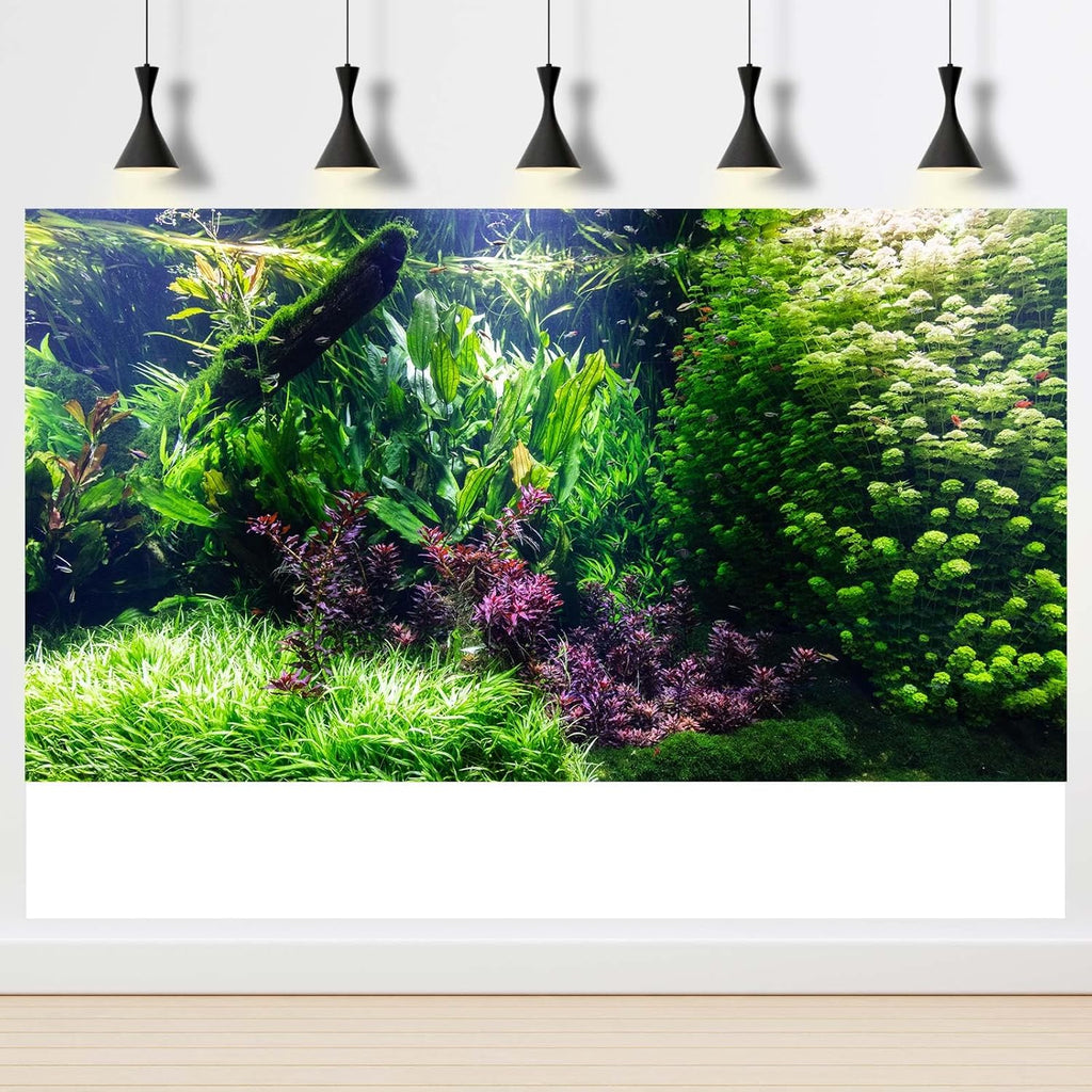 Aquarium Background Various Underwater Grass Plants Aquarium Backdrop Vivid and Fresh Green Aquatic Plants Stone River Bed and Dead Wood Tank Background Vinyl 48x18in