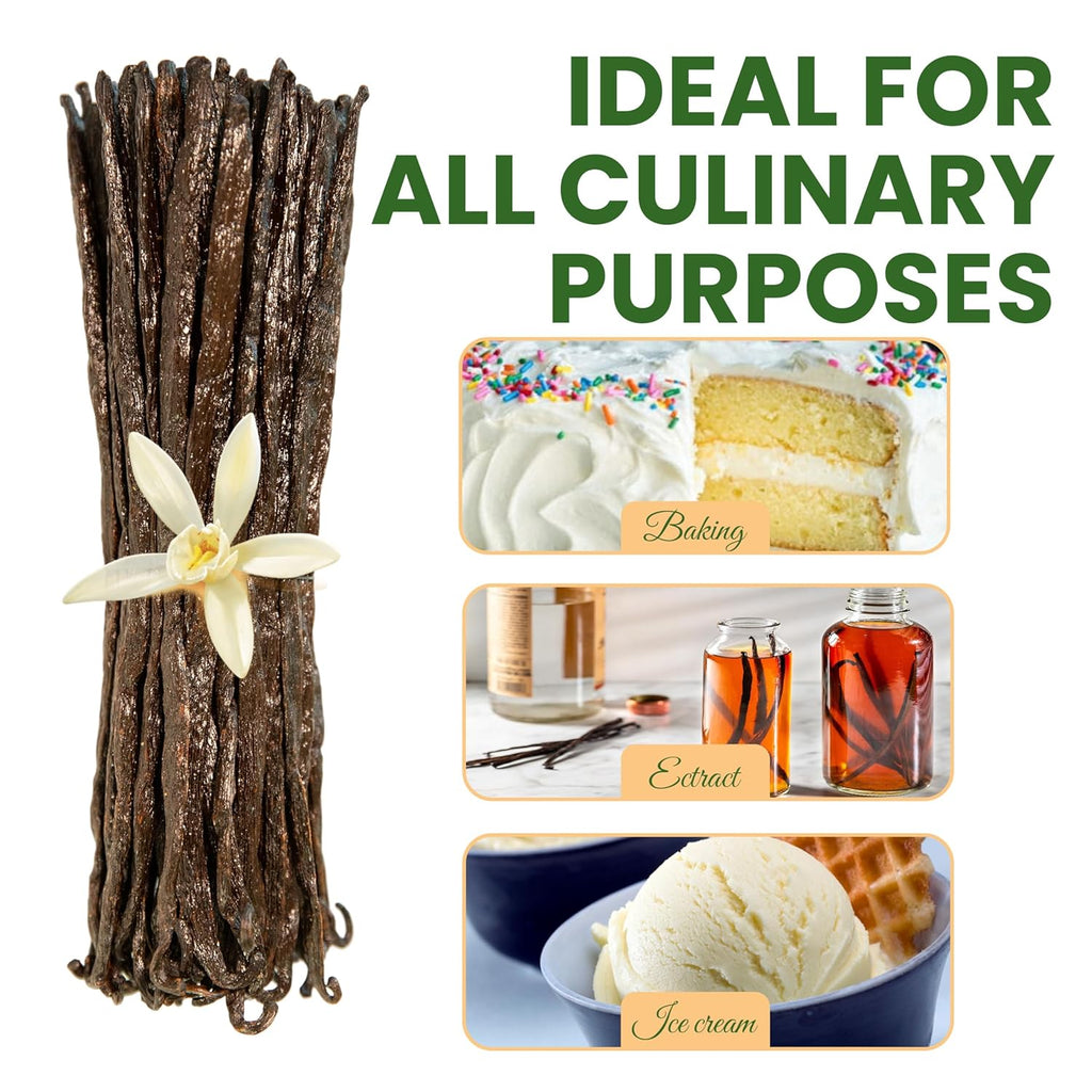 10 Count Organic Madagascar Vanilla Beans – Grade A Bourbon Pods | Gourmet Whole Vanilla Beans for Baking, Cooking, Extract Making | Rich Aroma, Premium Flavor, Non-GMO, Vegan