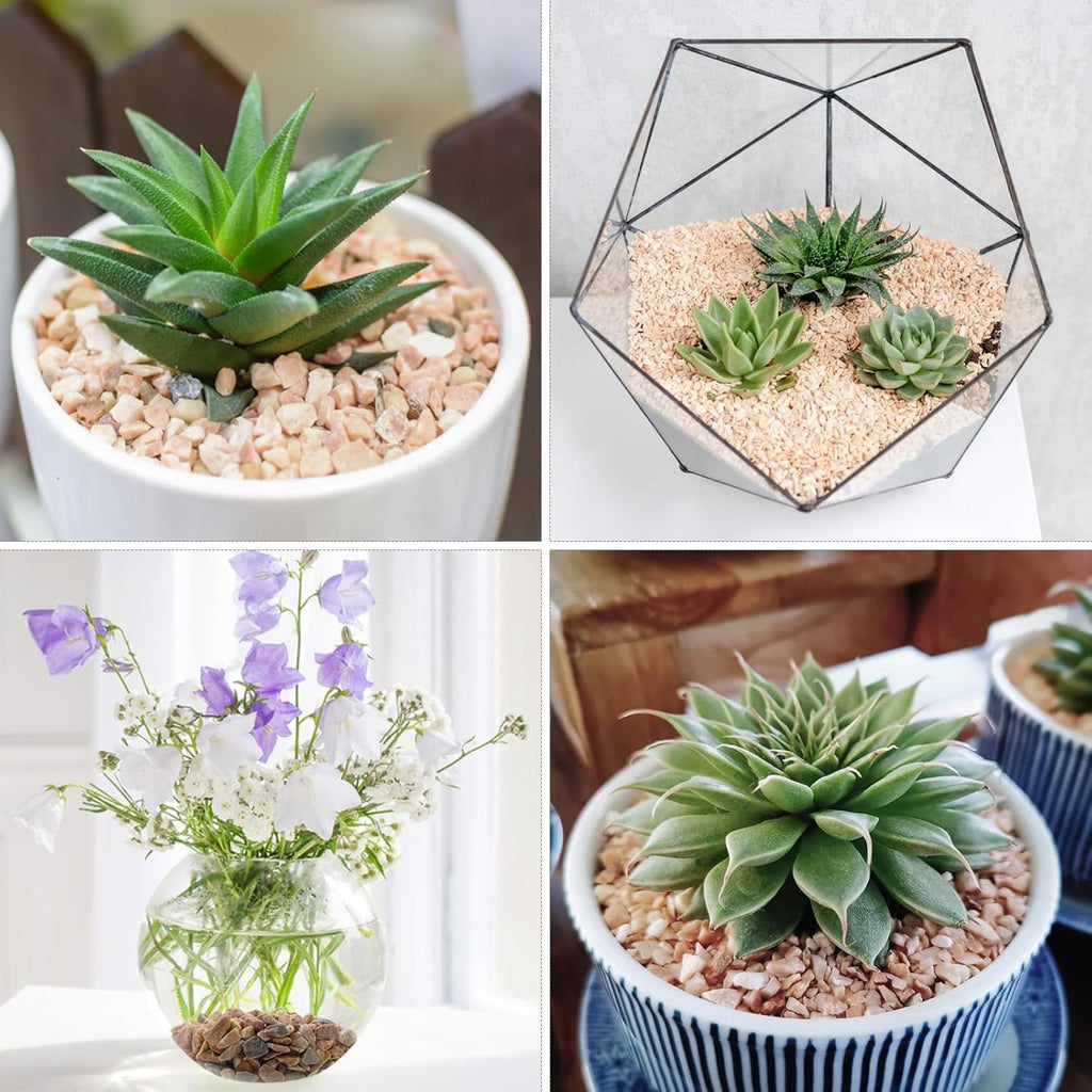 2lbs Peach Pebbles for Plants, 3/8inch Small Rocks, Natural Polished Pebbles, River Rocks for Succulent Cactus Plants, Vases, Aquariums, Gardening