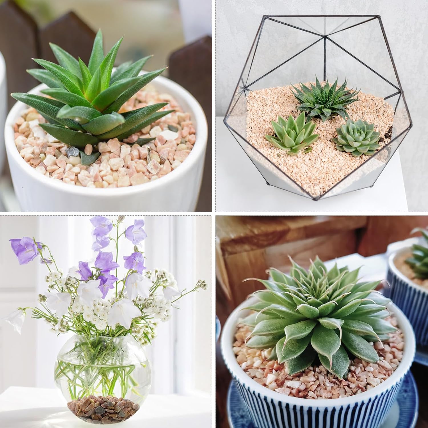 10lbs Peach Pebbles for Plants, 3/8inch Small Rocks for Succulent Cactus Plants, Natural Polished Pebbles, River Rocks for Plants, Vases, Garden