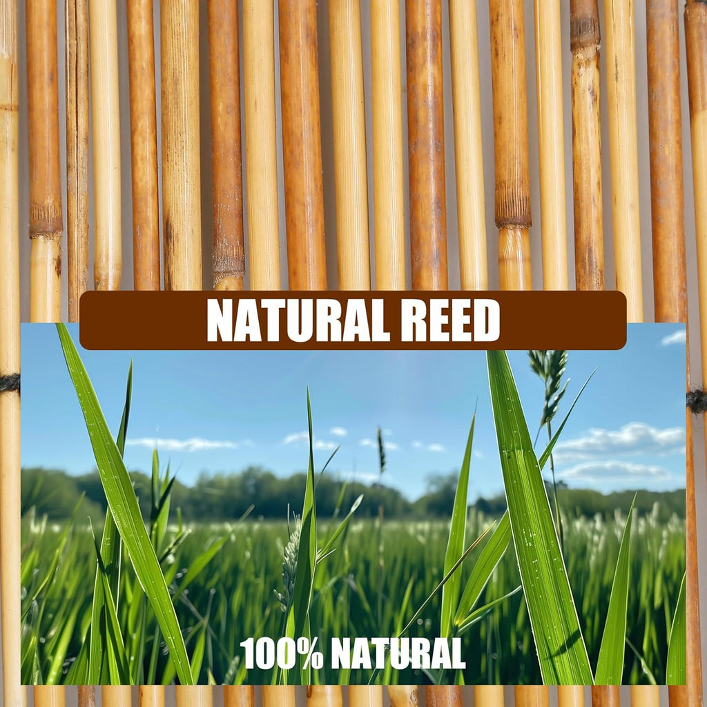 Natural Reed Fencing, Eco-Friendly Reed Fence, 3.3 feet High x 13.1 feet Long, Reed Screen for Backyard Patio Garden and More,Brown