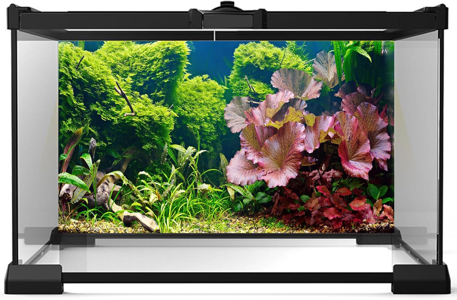 Aquarium Background Underwater Grass Leaves Pebble Aquarium Backdrop Vivid and Fresh Green Aquatic Plant Background Stone River Bed DeadWood Purple Leaves Tank Background Decor Vinyl 36x18in