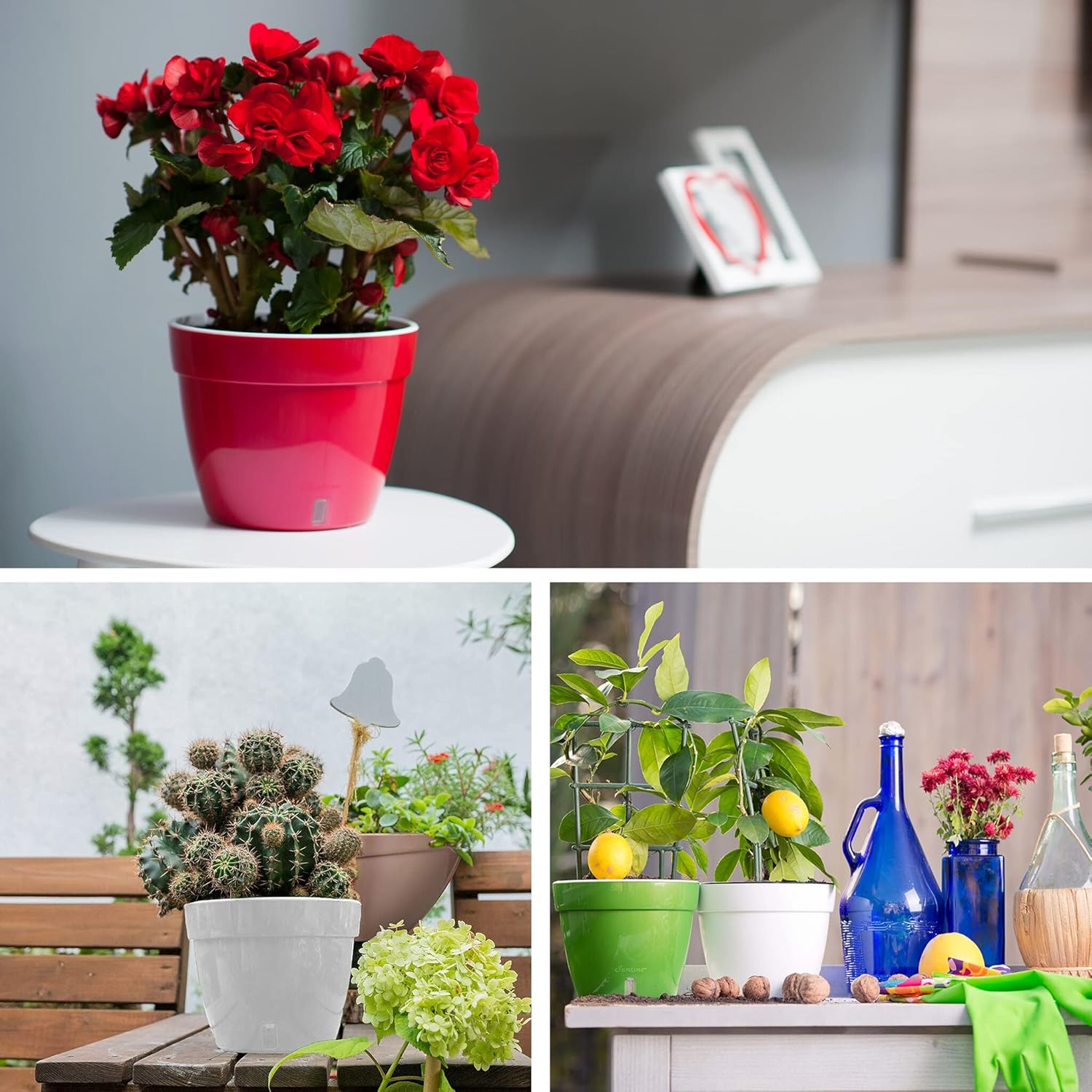 Santino ASTI 10.6 Inch Self Watering Planter RED-Pearl/White for Indoor Plants - Premium Quality Modern Plastic Pot w/Water Level Indicator for All House Herbs, Plants, African Violets and Dahlias