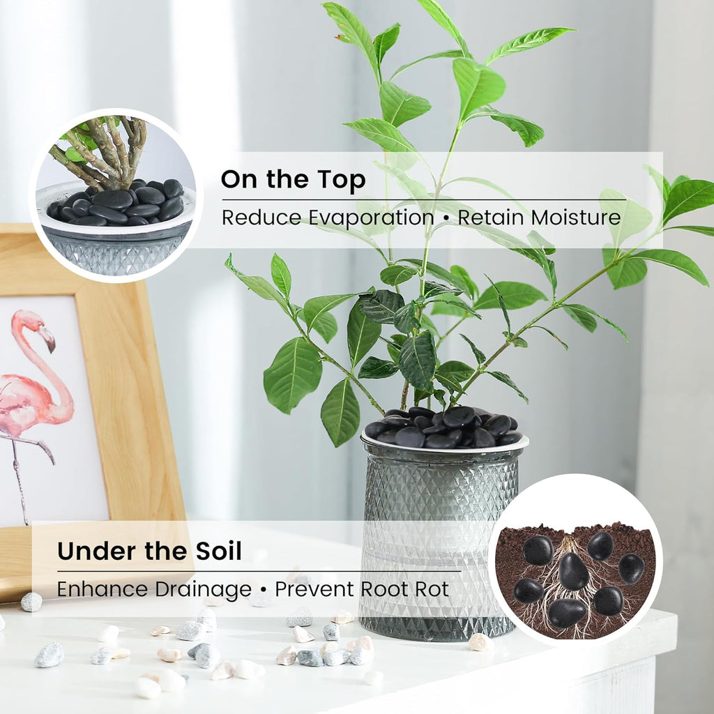 SIDONG 10 LB Black River Rocks, 0.3-0.5 Inches High Polished Pebbles for Indoor Plants, Aquarium Rocks Used in Fish Tank, Decorative Stones for Plants, Vases, Home Décor, Crafting, Garden Landscaping