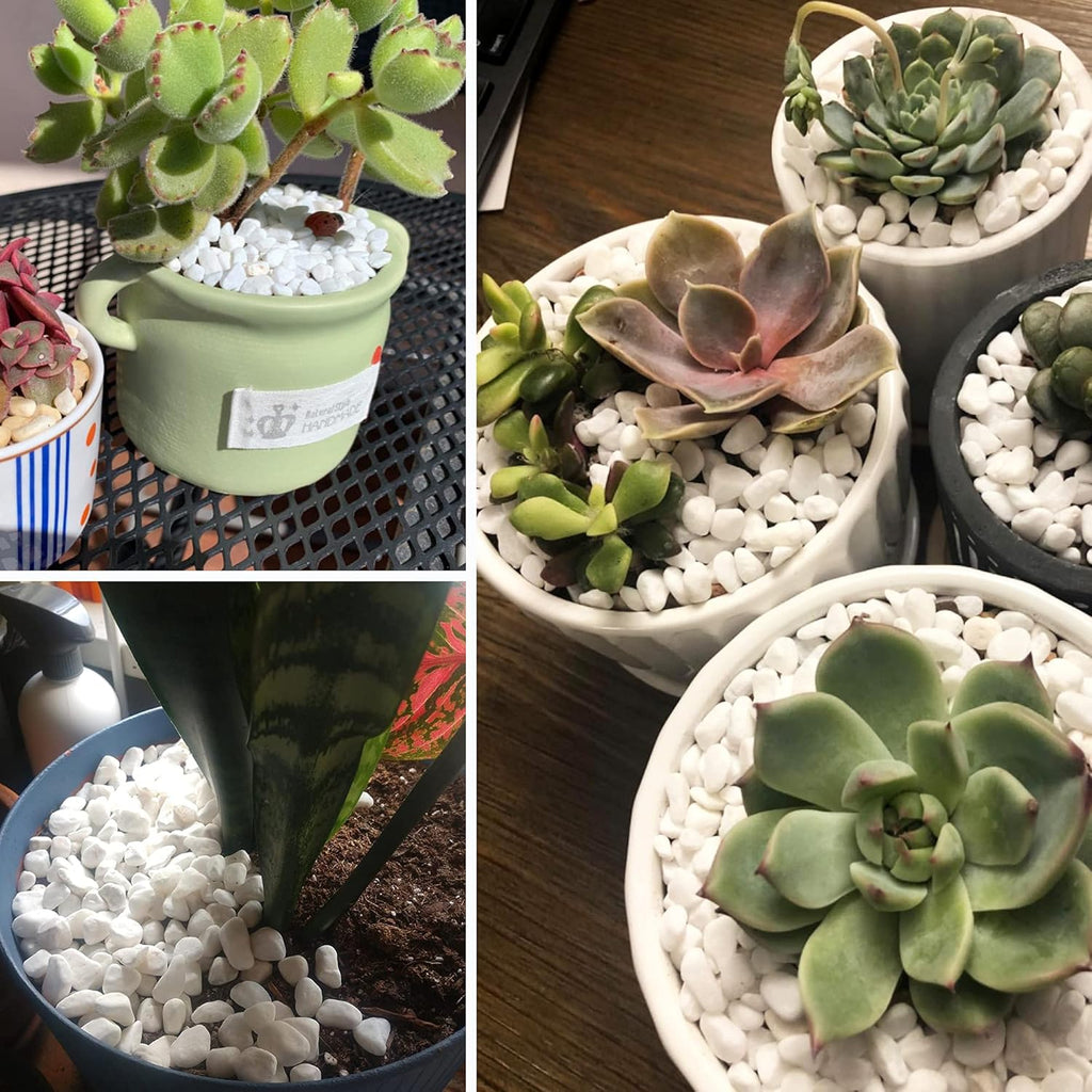 White Pebbles for Plants Garden 18 lb White Rocks Gravel Decorative Stones Landscaping Vase Fillers 1/2"