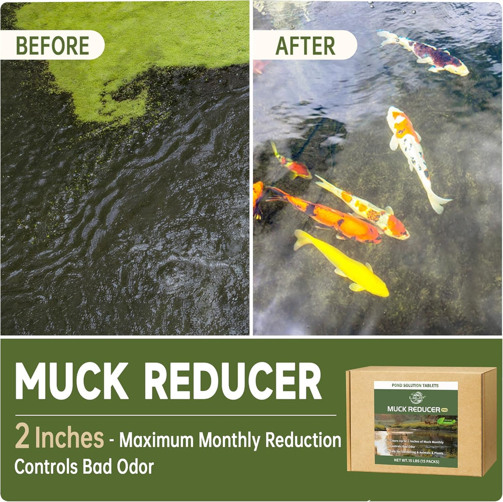 Muck Reducer - 15LB Natural Sludge Solution Tablets for Ponds & Lakes, Away Muck & Odor Control, Safe for Aquatic Life, Wildlife & Recreation, Treats Up to 90,000 Sq Ft