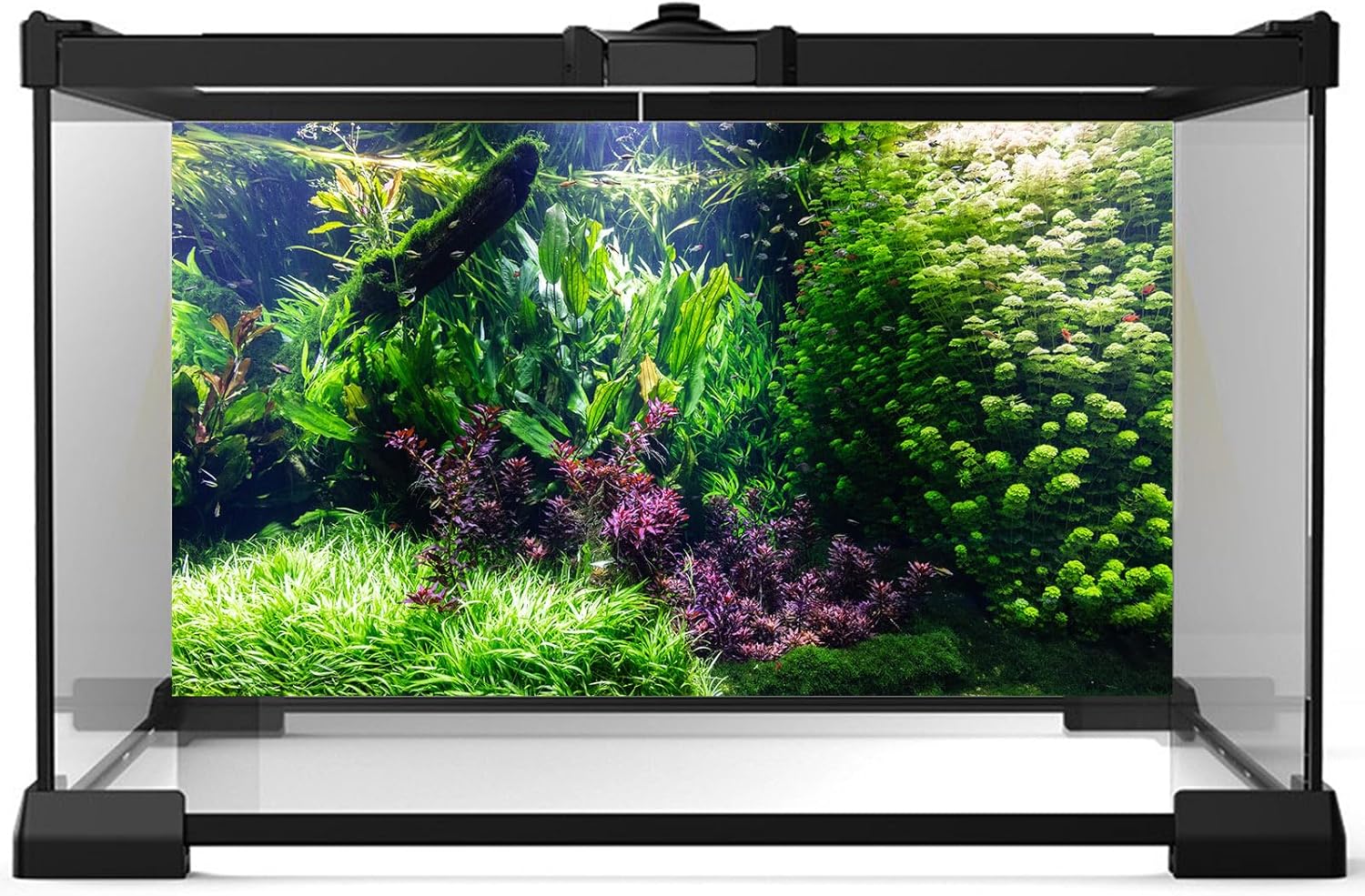 Aquarium Background Various Underwater Grass Plants Aquarium Backdrop Vivid and Fresh Green Aquatic Plants Stone River Bed and Dead Wood Tank Background Vinyl 24x16in