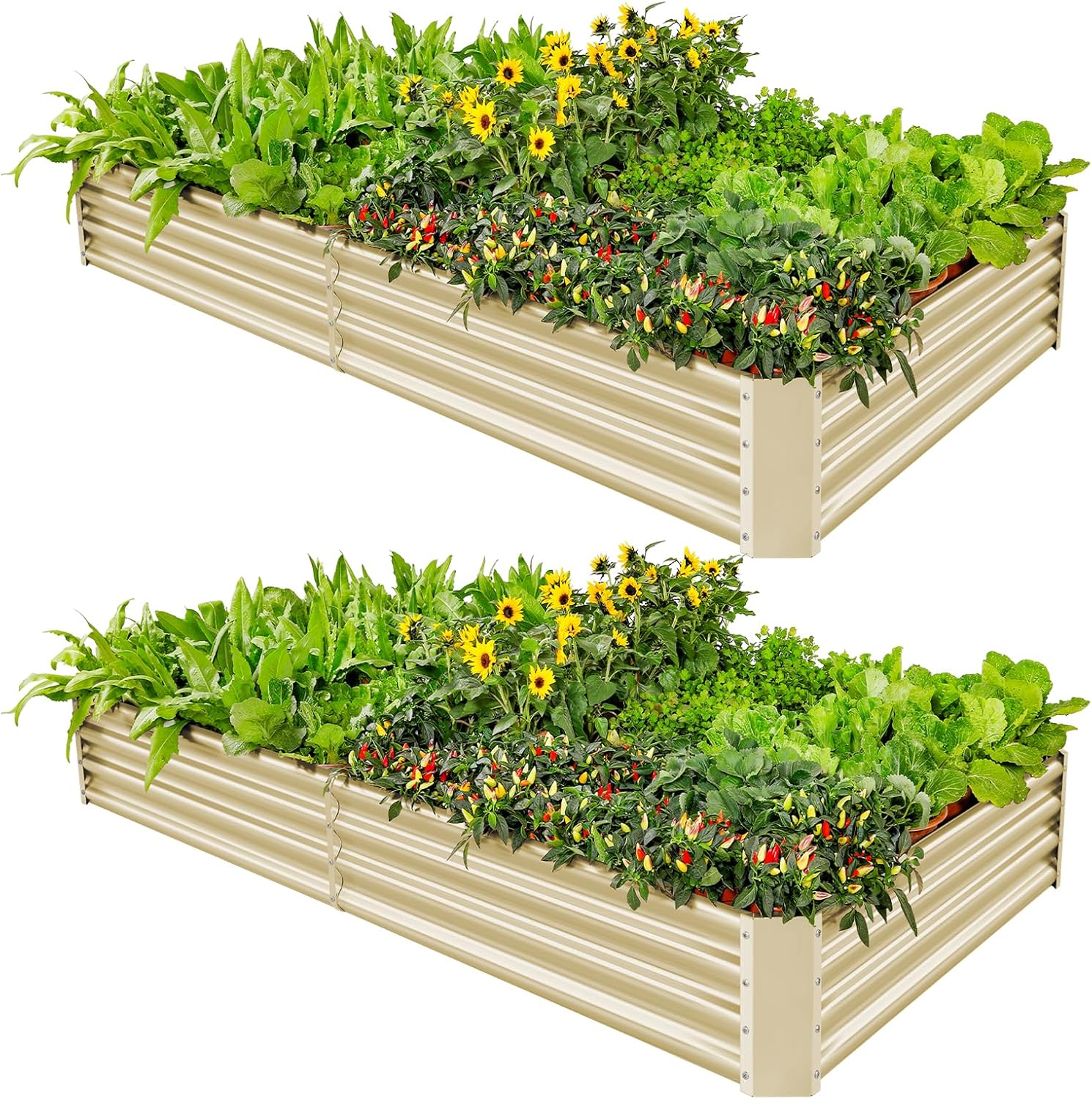 Land Guard 2 Pack 8×4×1ft Galvanized Metal Raised Garden Bed, Metal Planter Kit Box Outdoor for Deep-Rooted Vegetables, Flowers, Green and Herbs (Cream Yellow)
