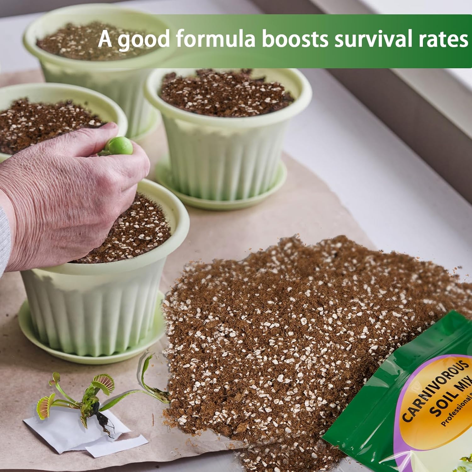 Carnivorous Plant Soil Mix 1qt, Pure Peat Moss and Perlite Mixture for Venus, Pitcher, Butterwort, Nepenthes, Sundew