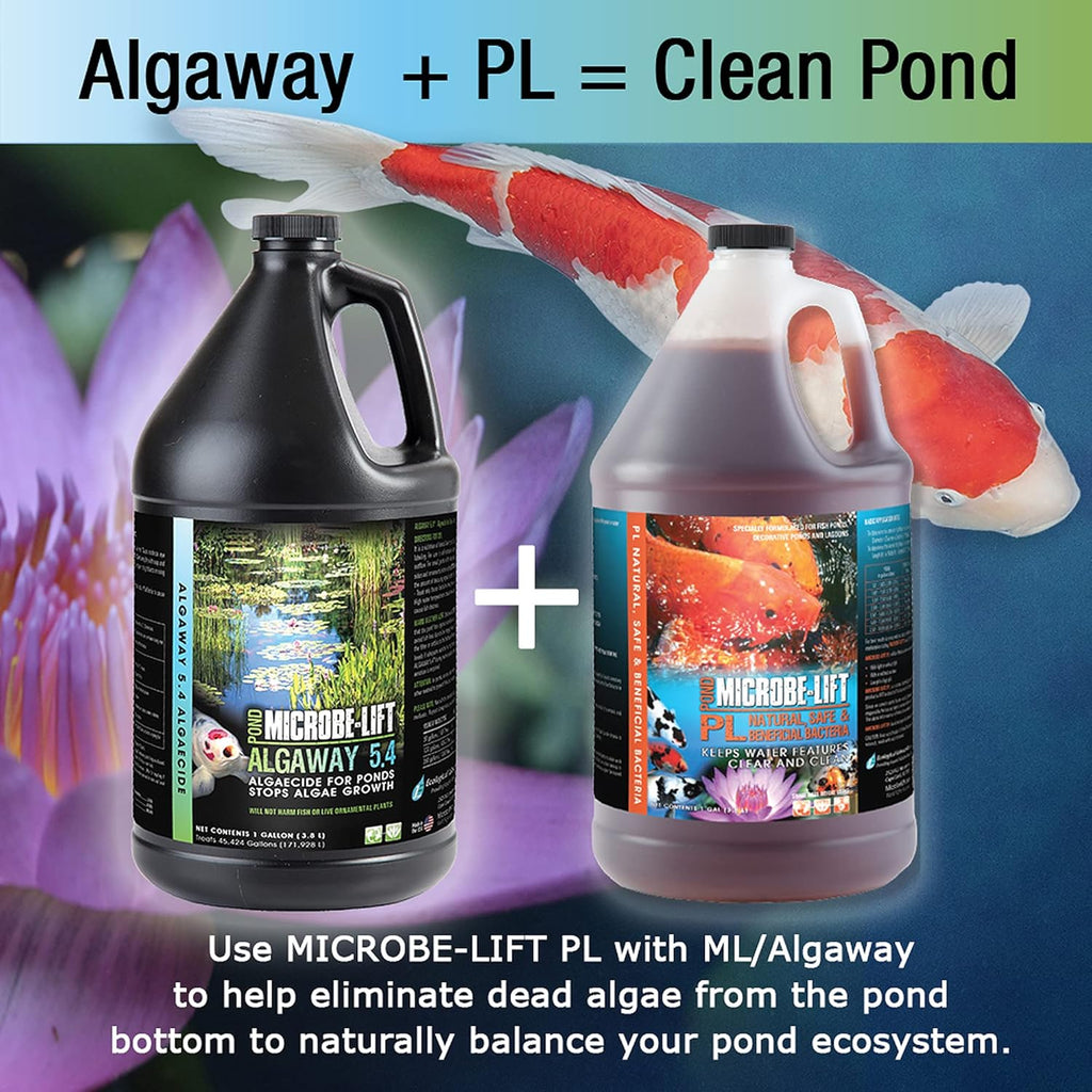 MICROBE-LIFT ALGA16 Algaway 5.4 Algae Control Treatment for Ponds and Water Gardens, Safe for Koi Fish, Goldfish, Plants, and Decorations, 16 Ounces