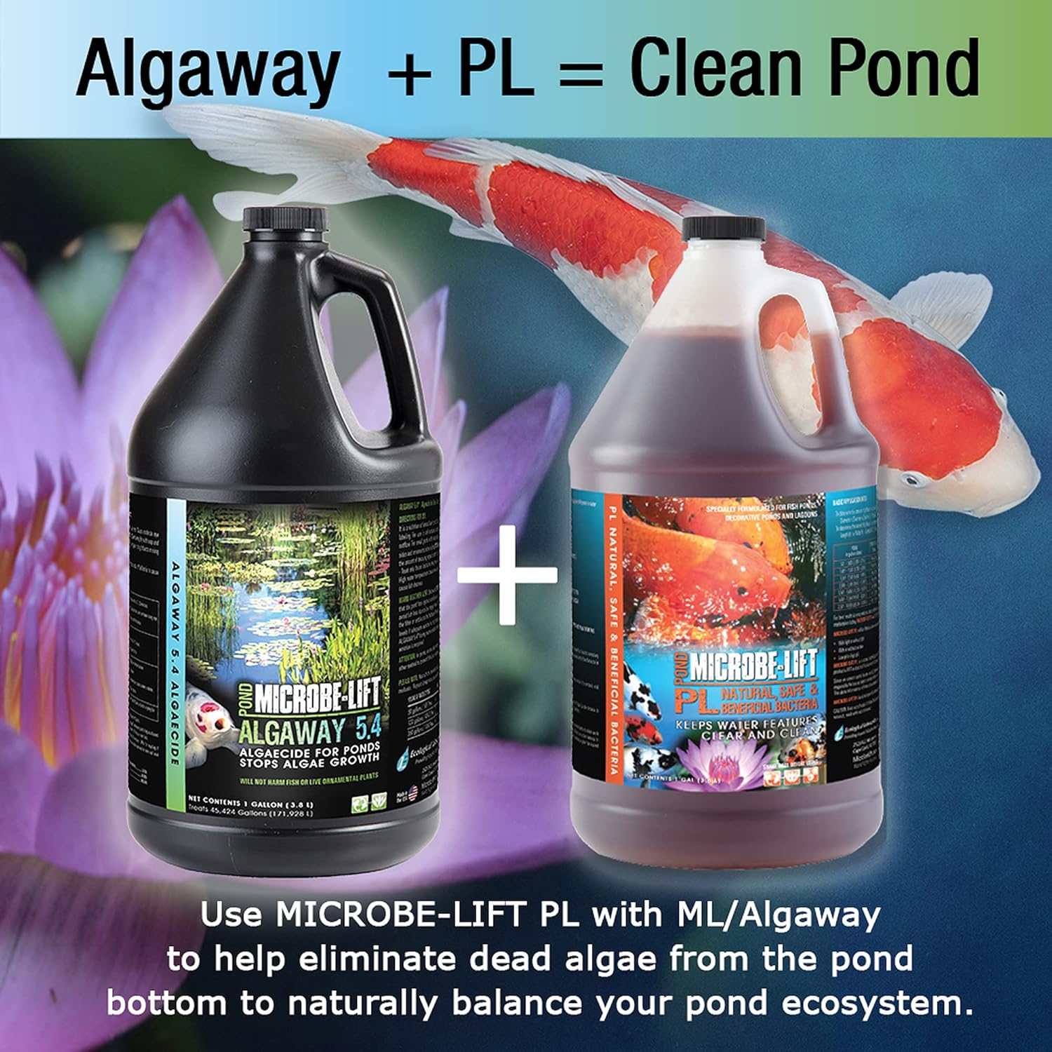 MICROBE-LIFT ALGA32 Algaway 5.4 Algae Control Treatment for Ponds and Water Gardens, Safe for Koi Fish, Goldfish, Plants, and Decorations, 32 Ounces