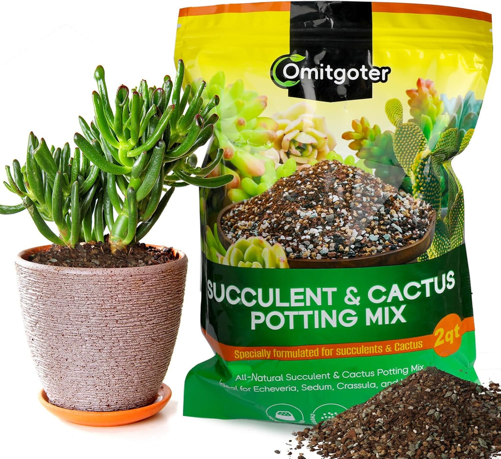 Succulent & Cactus Soil Potting Mix 2qt, Natural Organic Potting Mix for Cactus, Succulent, Palm, and Citrus Grown in Containers Indoors and Outdoors