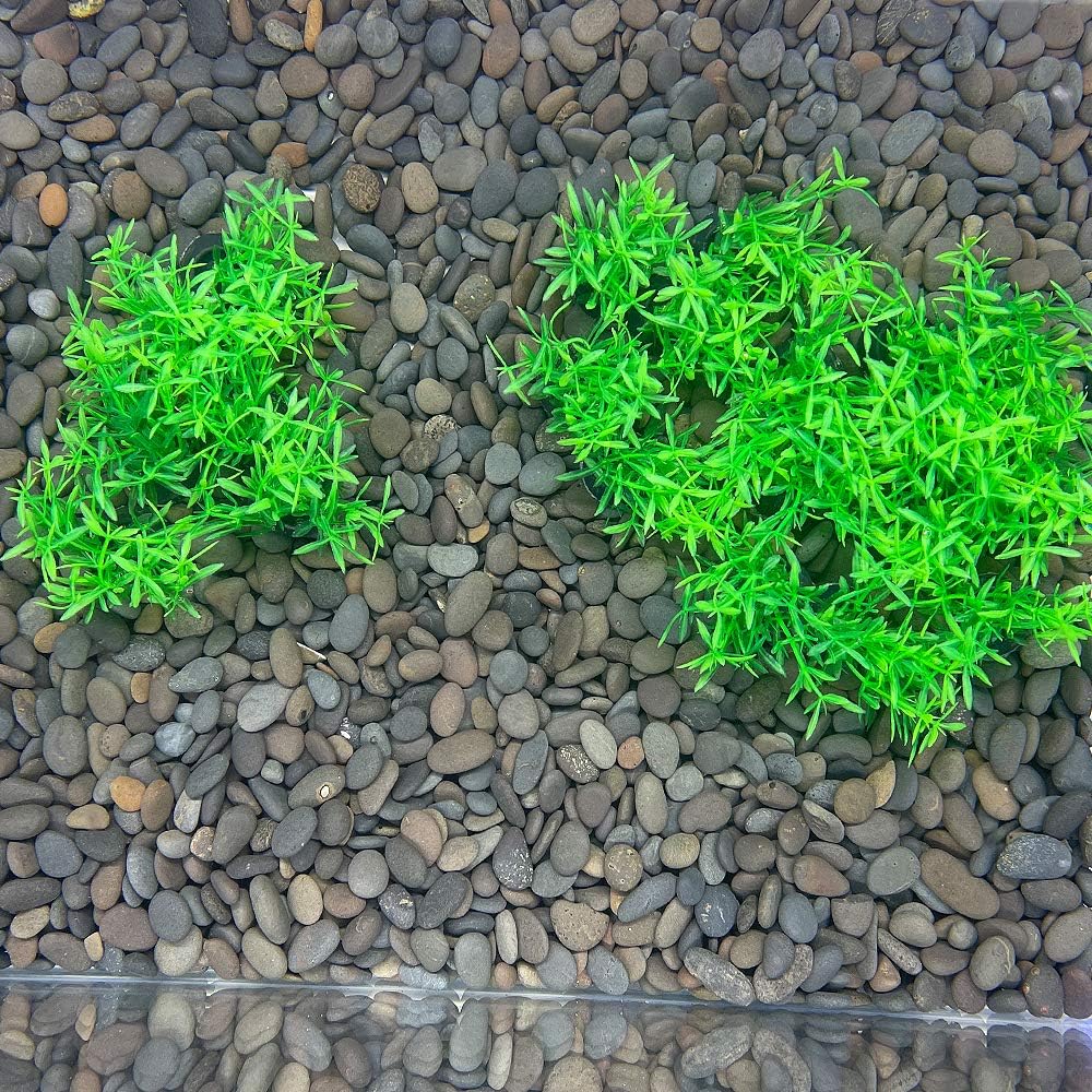Smoothedo-Pets Aquarium Plant Fish Tank Decoration 20 Pieces Small/1" Tall Plastic Artificial Plant Goldfish Hidden Mini Grass Set (Green-A)