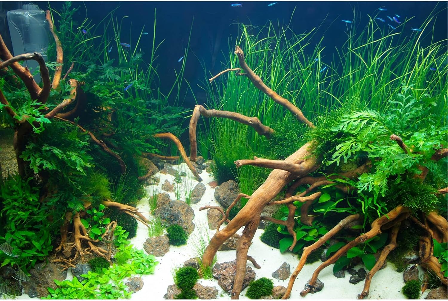 Aquarium Background Various Underwater Grass Plants Aquarium Backdrop Vivid and Fresh Green Aquatic Plants Stone River Bed and Dead Wood Yellow Stone Fish Tank Background 36x20in