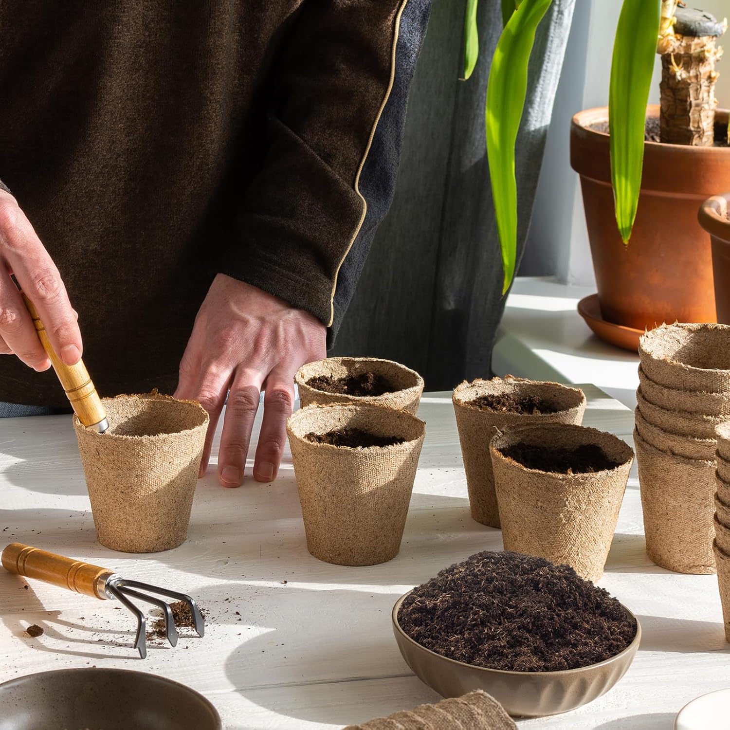 Sphagnum Peat Moss for Plants 4qt, Organic Garden Growing Soil Amendment and Media for Flowers, Vegetables, Herbs, Orchid, Indoor Houseplant