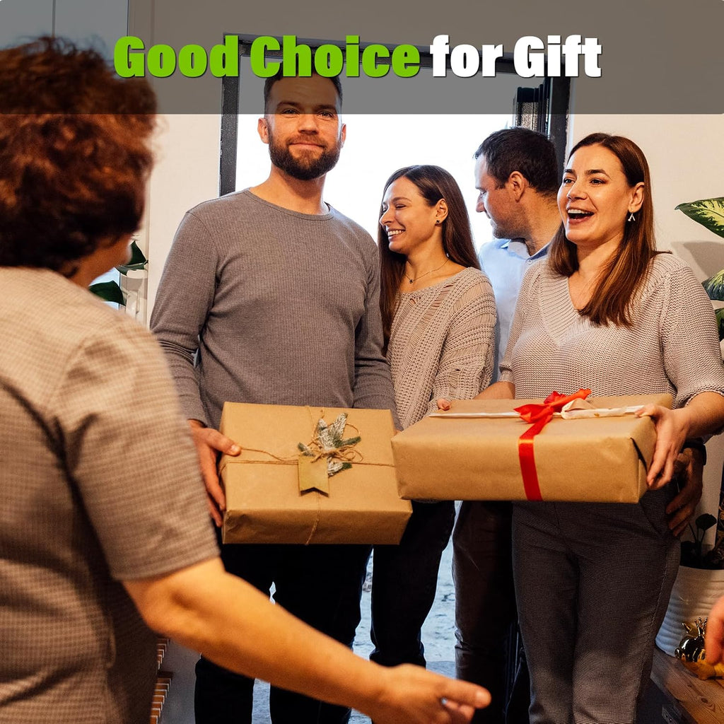 SEYVUM Cordless Leaf Blower, 20V Blower with 2 X 2.0 Ah Battery, Electric Blower for Lawn Care, 350 CFM 150 MPH Battery Powered Leaf Blower with Charger, for Patio, Garden Cleaning, Green