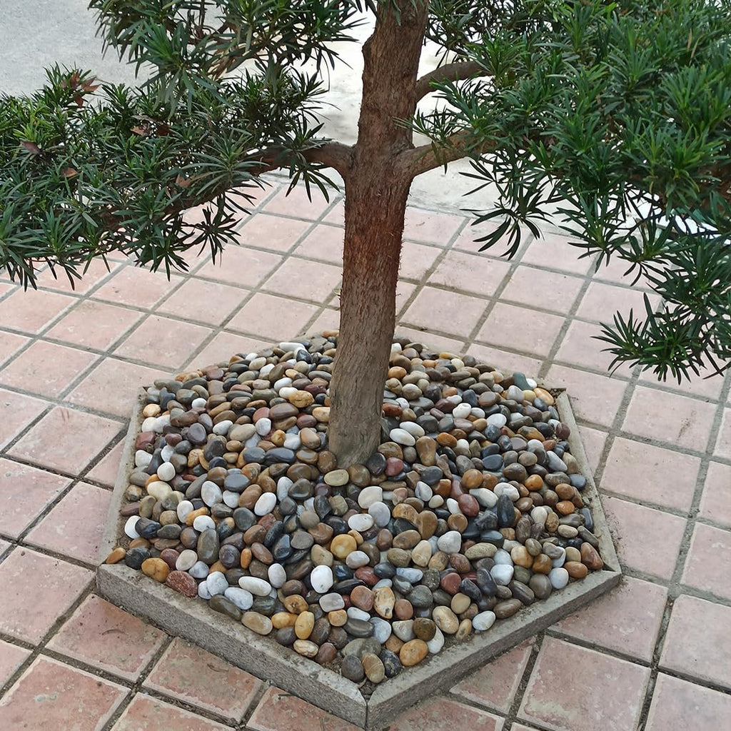 20lbs Large River Rocks for Landscaping, 3-4" Decorative Pebbles for Garden Design, Hand-Picked Smooth Stones for Fish Tank, Flower Pots, Indoor Water Fountains, Pathways, Backyard, Mixed Color