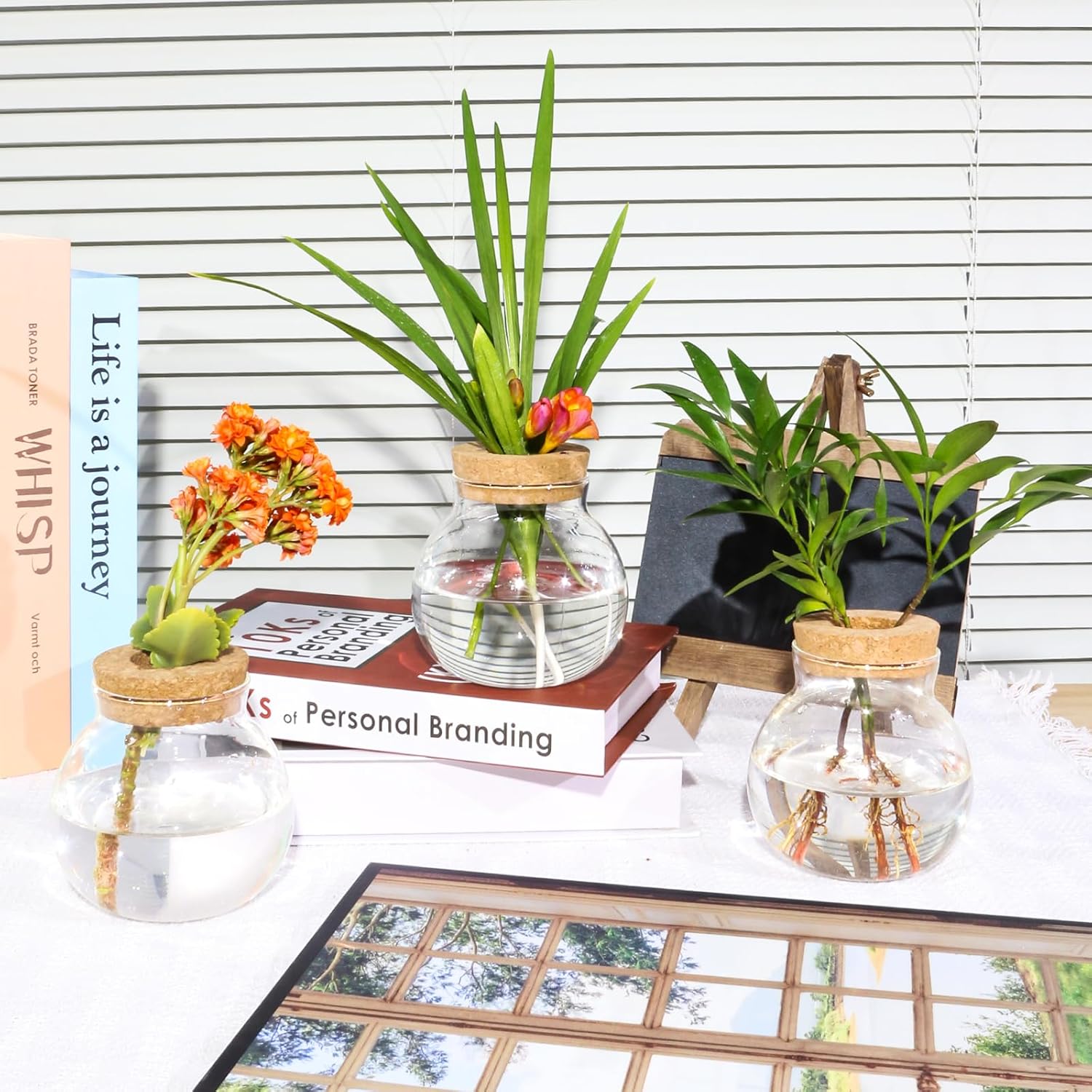 Plant Propagation Station,Hydroponic Terrarium Vase,Desktop Glass Planter Station,for Houses,Garden Decorations,ropagating Hydroponic Plants,Centerpiece Office,Home Garden Decor (2)