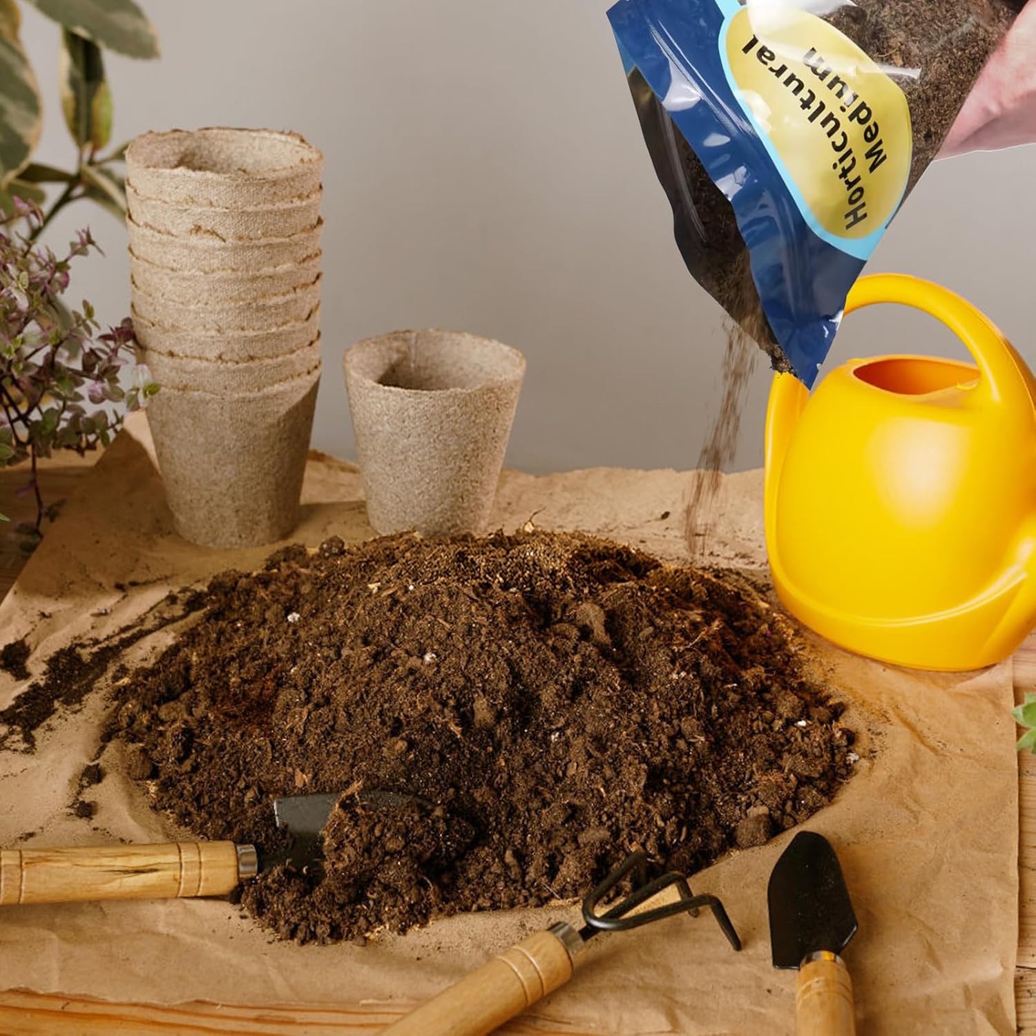 Sphagnum Peat Moss for Plants 4qt, Organic Garden Growing Soil Amendment and Media for Flowers, Vegetables, Herbs, Orchid, Indoor Houseplant