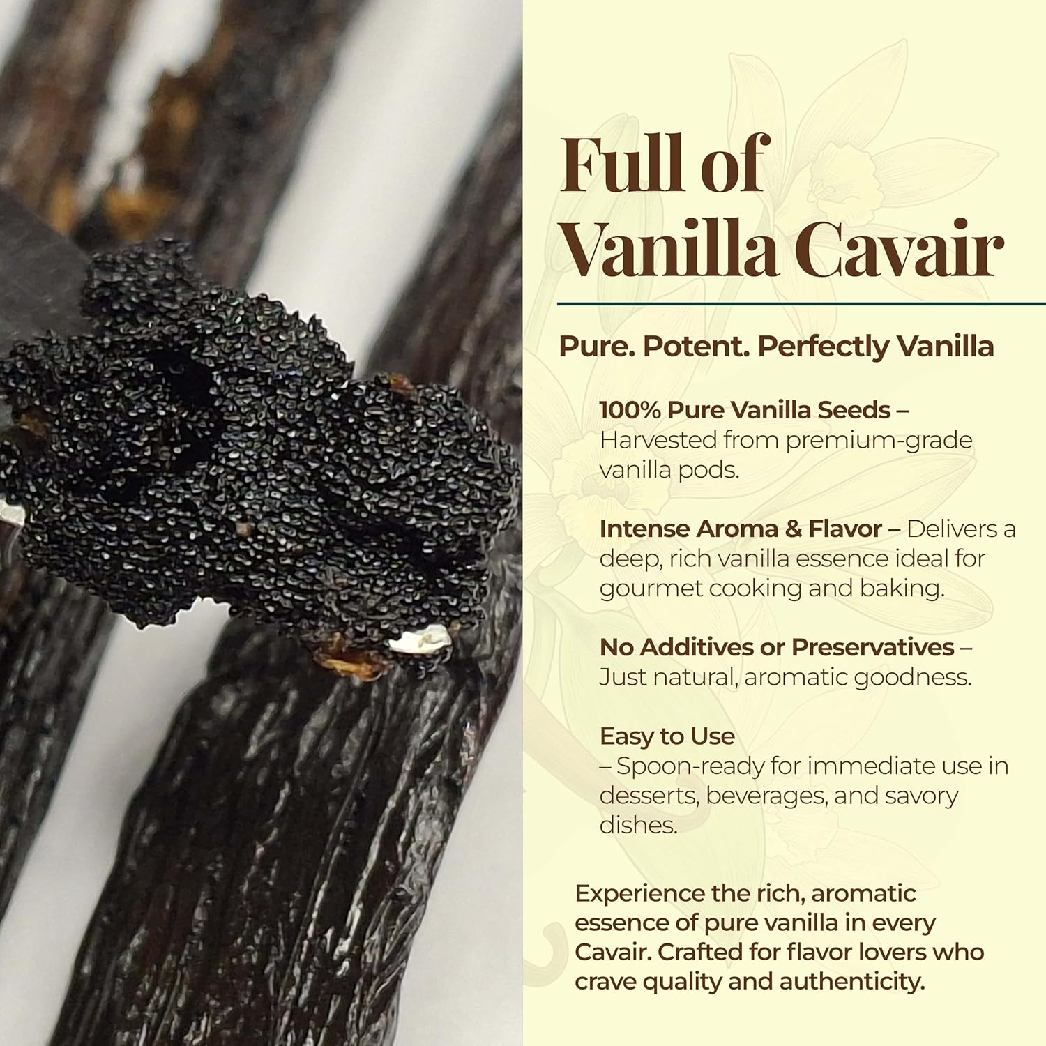 10 Whole Vanilla Beans Grade A+, Premium Bulk Vanilla Bean Pods For Making VanillaExtract and Baking, 6-8 Inches, Non GMO. by NYVanilla