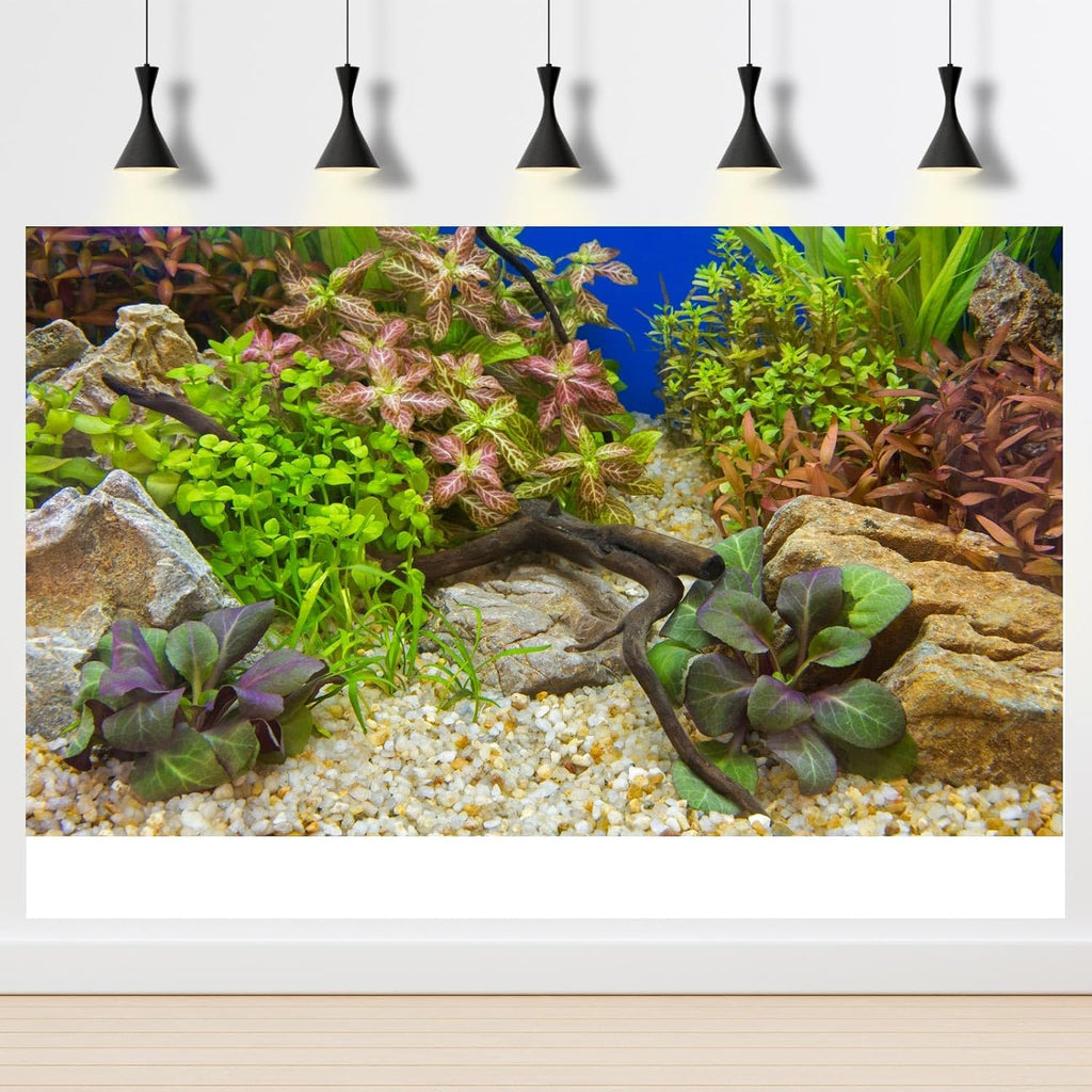 Aquarium Background Various Underwater Grass Plants Pebble Aquarium Backdrop Vivid and Fresh Green Aquatic Plants Stone River Bed and Dead Wood Purple Leaves Tank Background Vinyl 36x24in