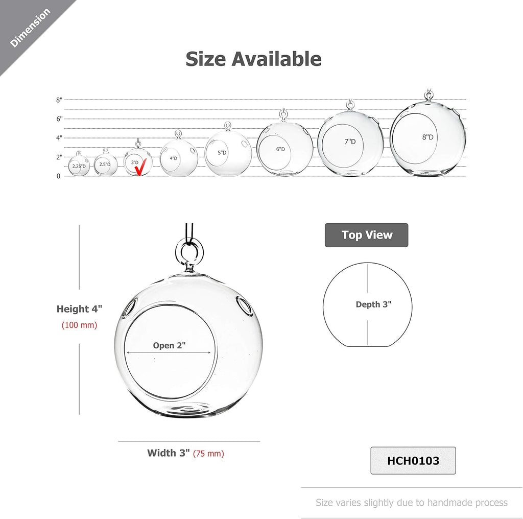 WGV Hanging Terrarium Globe, Width 3", Height 4", DIY Air Succulent Planter, Clear Glass Vase Orb with Flat Bottom, Candle Holder for Windowsill Outdoor Garden Decor, 6 Pieces Bulk