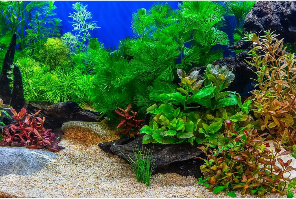 Aquarium Background Underwater Grass Leaves with Pebble Aquarium Backdrop Vivid and Fresh Green Aquatic Plant Stone River Bed and Lake Fish Deadwood Tank Background Decor Vinyl 48x20in