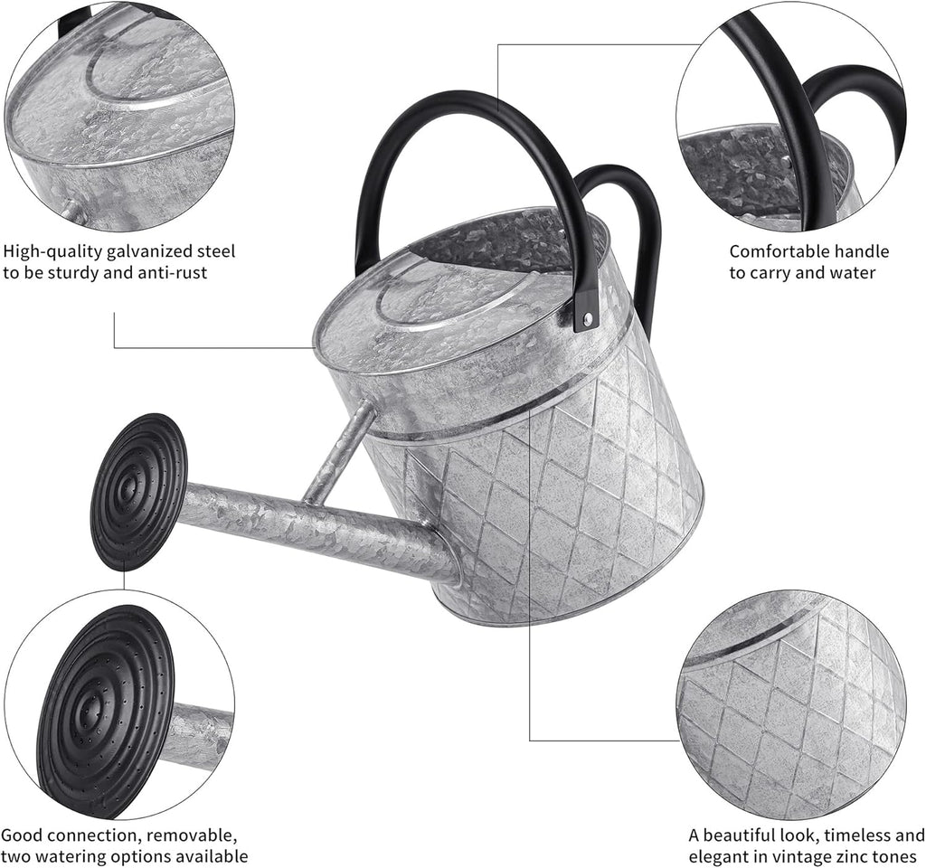 1.75 Gallon Outdoor Galvanized Metal Watering Can for Garden Plants, Vintage Zinc Watering Can with Removable Spray Spout, Ideal for Outdoor Use (Silver)