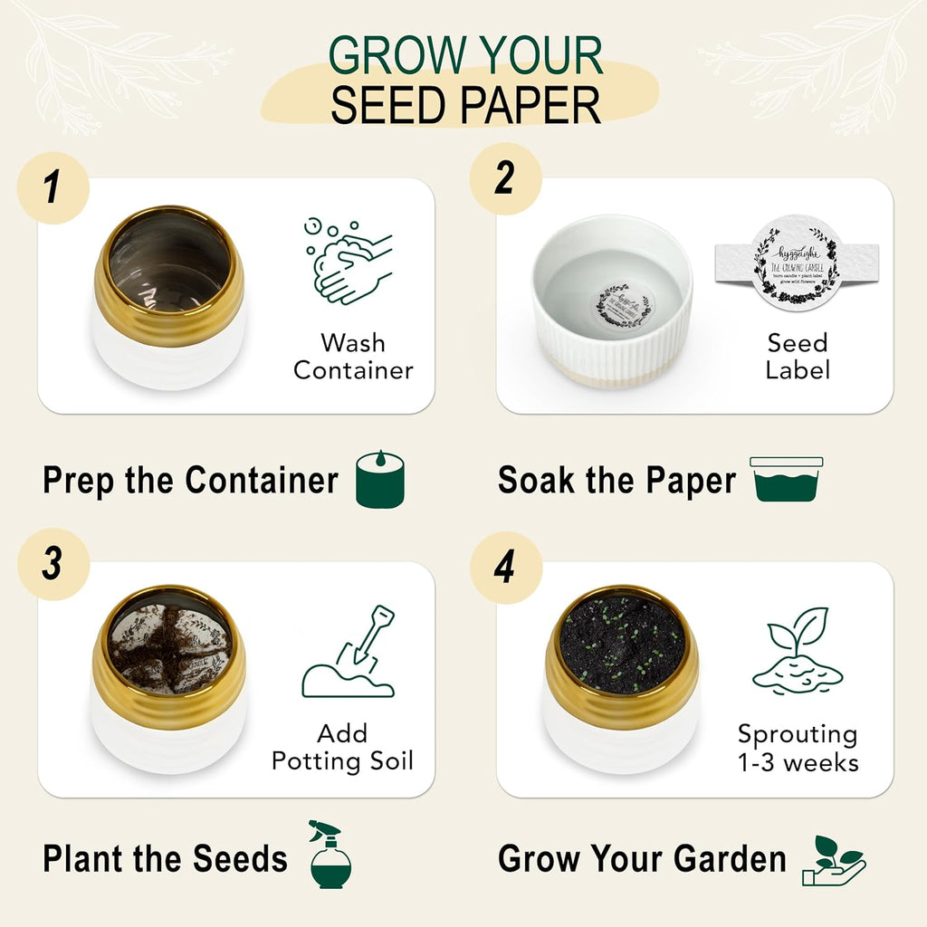 The Growing Candle, Chai Scented, 10oz Ceramic Pot, Aromatherapy Candles for Home, 100% Soy, Clara